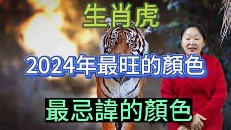 屬虎錢包顏色|2024龍年十二生肖的「財庫色」解析，用年終獎金投。